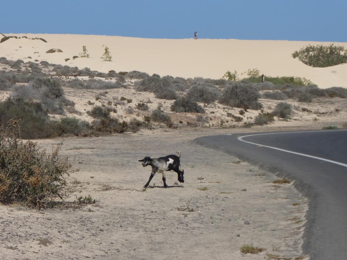 Marvida Villa Corralejo Eksteriør bilde